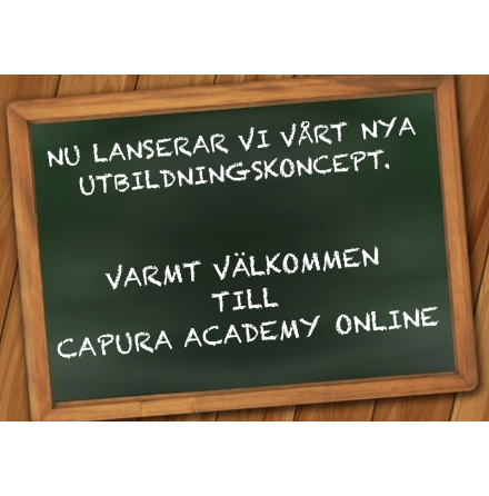 CAPURA ACADEMY ONLINE